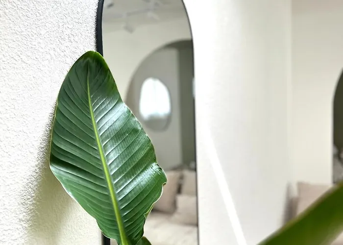 Cosy - Centre-ville * بريست