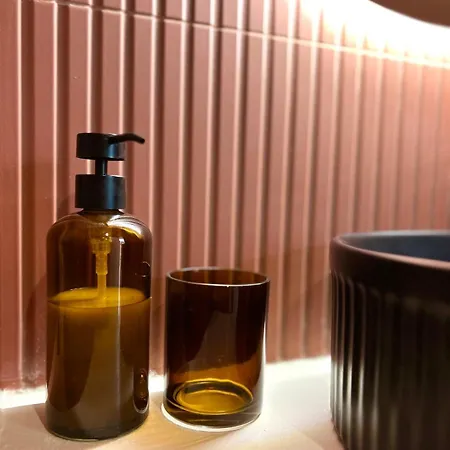 Cosy - Centre-ville * 布雷斯特